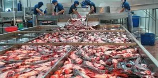 Xử lý nước thải thủy sản bằng công nghệ mới AAO-MBBR Xử lý nước thải thủy sản bằng công nghệ mới AAO-MBBR