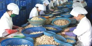 Xử lý nước thải hạt điều Thái Hà Xử lý nước thải hạt điều Thái Hà