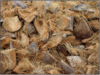 vo dua Xử lý khí thải bằng công nghệ biofilter với giá thể vỏ dừa
