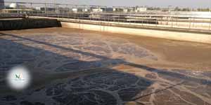 Xử lý nước thải thủy sản bằng công nghệ mới AAO&MBBR