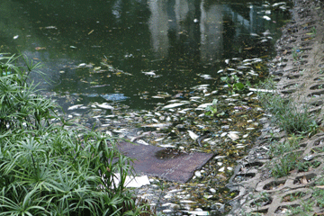 công ty môi trường Ngọc Lân xử lý nước thải