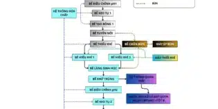 Xử lý nước thải giết mổ gia súc