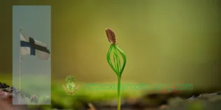 Xử lý nước thải sinh hoạt công nghệ mới: Giải pháp bền vững cho năm 2026