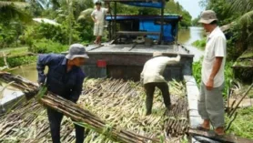 Công nghệ xử lý nước thải mía đường