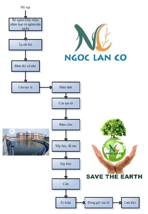xử lý nước thải chế biến mủ cao su: quy trình chế biến mủ tạp