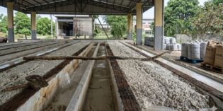 Xử lý nước thải chế biến mủ cao su