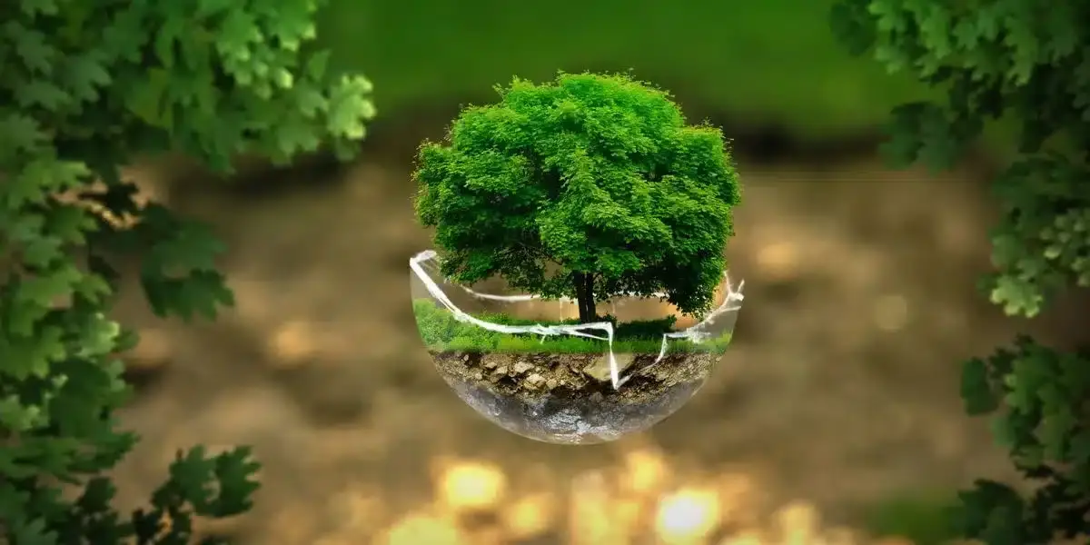 Môi trường hôm nay, Tương Lai mai sau